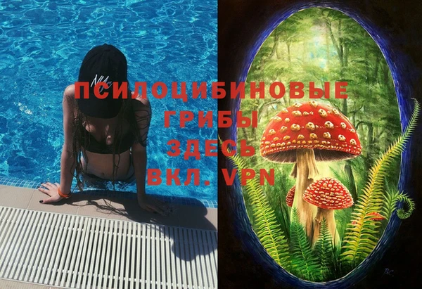 MESCALINE Аркадак